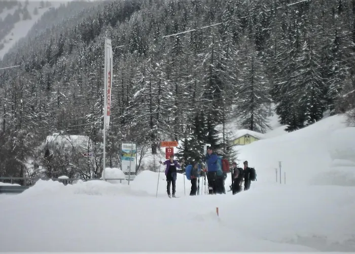 Laerch 3* Obergesteln